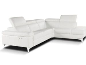 megane premium leather sectional2