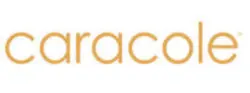 caracole logo2 Caracole Modern Furniture