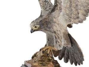 Jay Strongwater Baldwin Falcon Figurine3