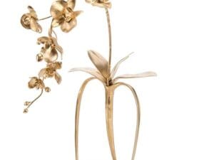 John Richard Brass Orchids III