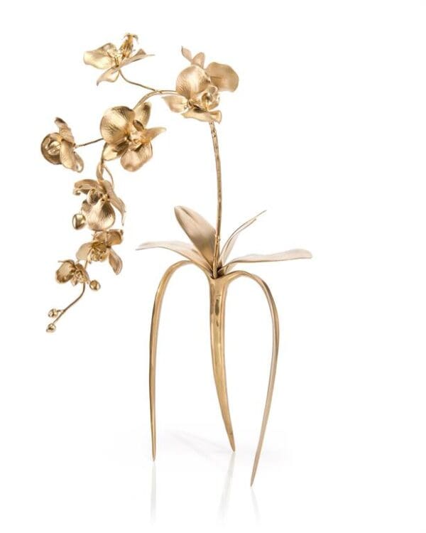 John Richard Brass Orchids III