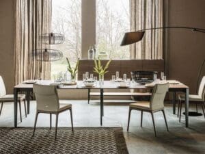 Sofia Dining Chair3 Sofia Dining Chair3
