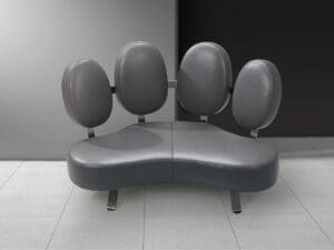 Kelvin Giormani Cani Sofa3